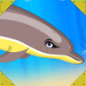 snowbristle dolphin maker
